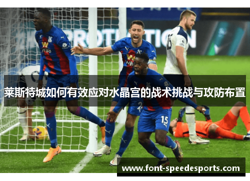 莱斯特城如何有效应对水晶宫的战术挑战与攻防布置